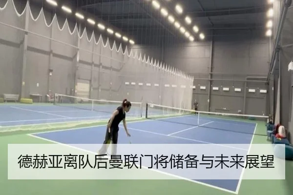 德赫亚离队后曼联门将储备与未来展望